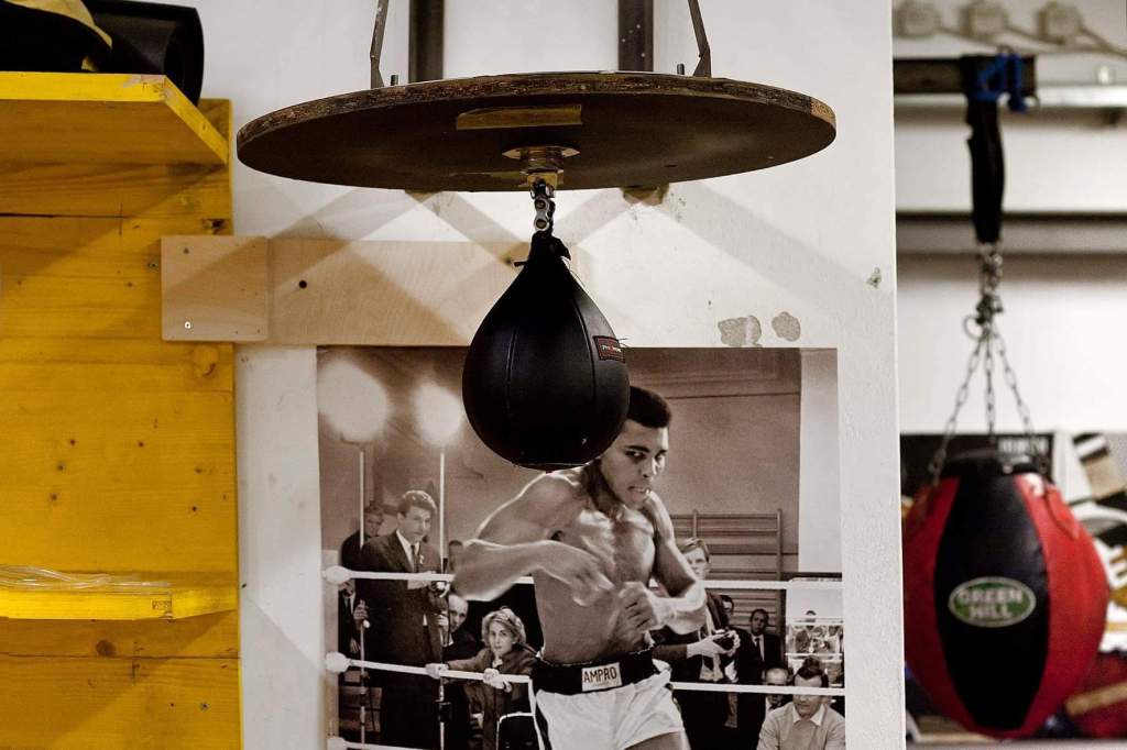 received_1552852894759416